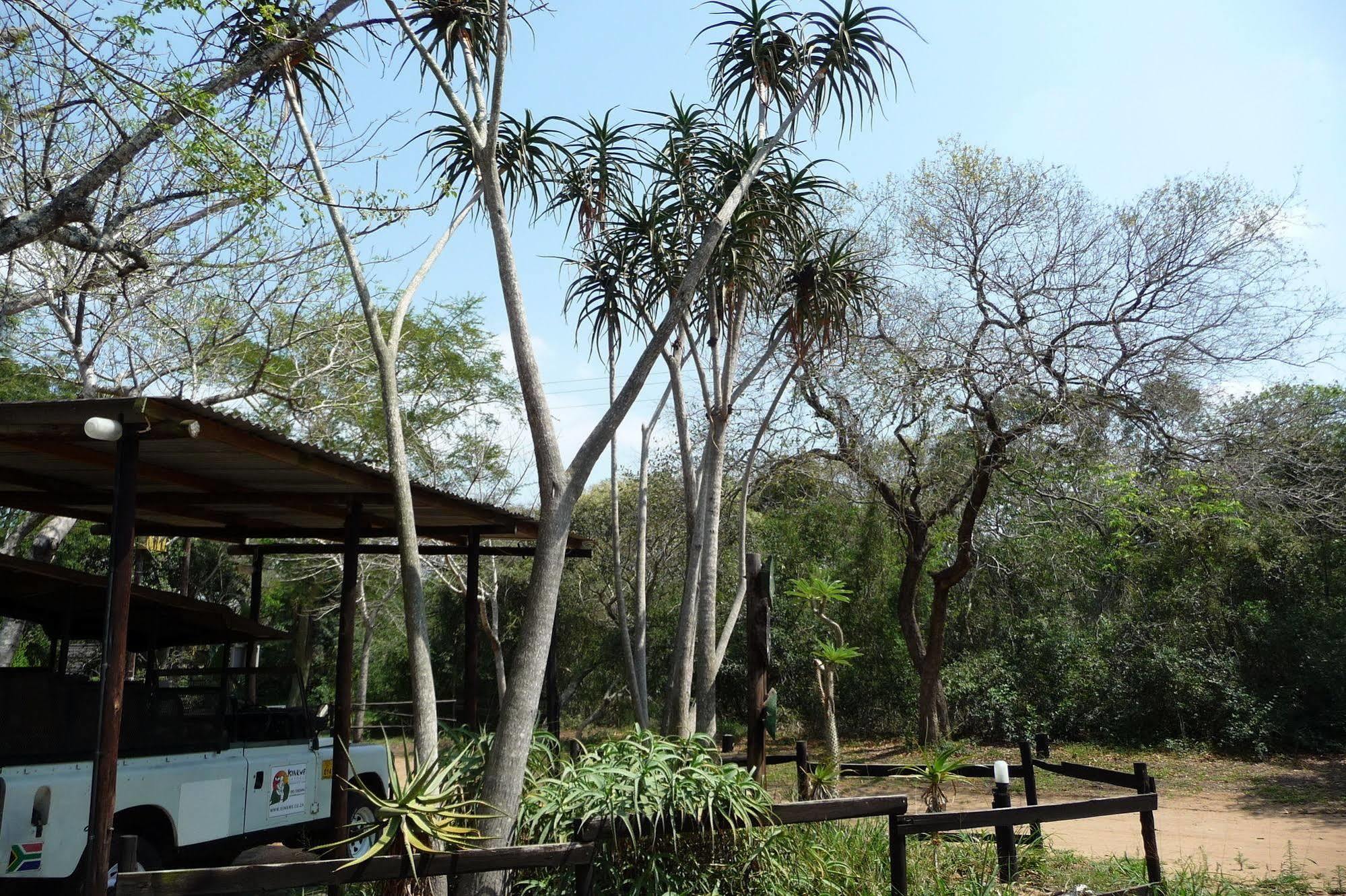 Isinkwe Backpackers Bushcamp Hotell Hluhluwe Exteriör bild